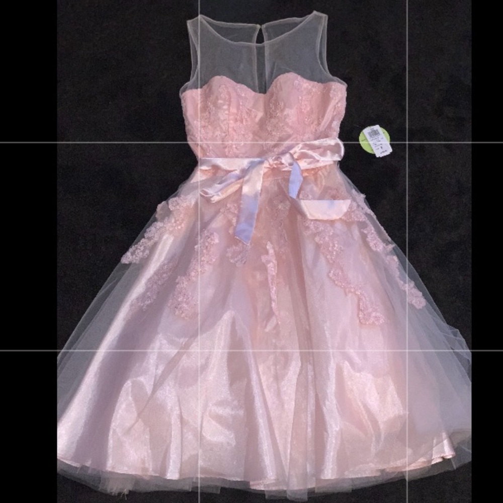 This is a beautiful baby pink dress